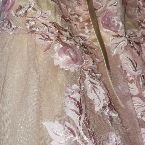 LanTing Pink Butterfly Appliqué Prom Dress - Picture 5 of 5